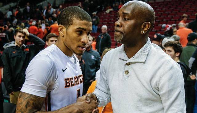 队友们的配 队友们的配